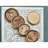 Japan Manhole Covers Animals Insects Wooden Coasters, Set of 5 pcs, New Home Apartment Gift, typical Japanese