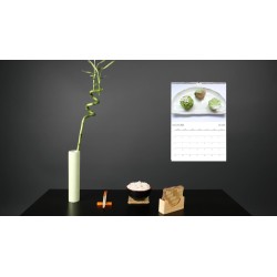 2025 Japanese Sweets Wall Calendar, Wagashi, Washoku, Traditional Confections Desserts, A3/A4 size, Photo Calendar, Customizable