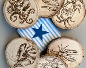 Undersea World Wooden Coasters with Bark: Nautical Decor, Set of 6 thumbnail 6