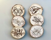 Undersea World Wooden Coasters with Bark: Nautical Decor, Set of 6 thumbnail 5