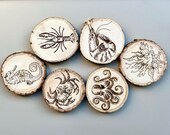 Undersea World Wooden Coasters with Bark: Nautical Decor, Set of 6 thumbnail 1