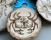 Undersea World Wooden Coasters with Bark: Nautical Decor, Set of 6 thumbnail 4