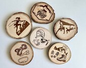 Climbing Theme Wood Coasters with Bark - Set of 6 thumbnail 1